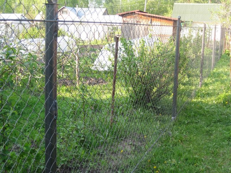 Заборы, ограждения из сетки рабицы Заборы, ограждения из сетки рабицы новосибирск